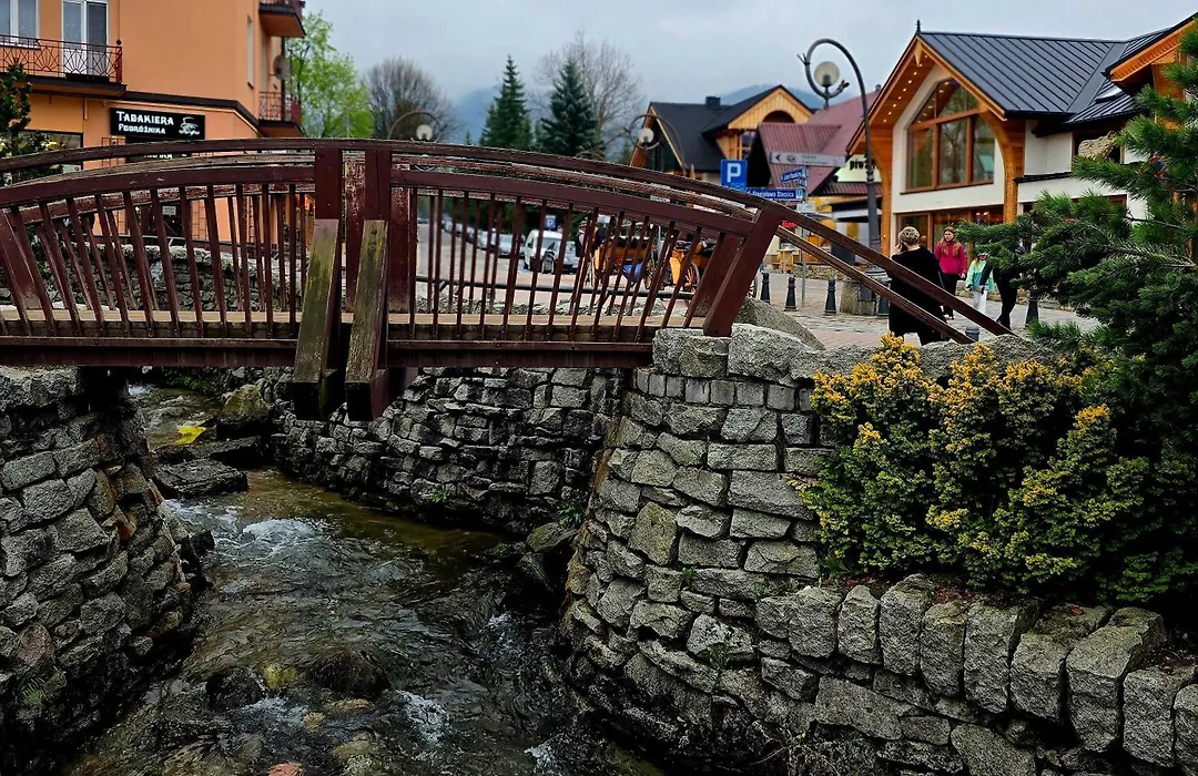Royal Deluxe 1 i Royal Deluxe 2 luksusowe apartamenty z widokiem na Tatry w sercu Zakopanego-1